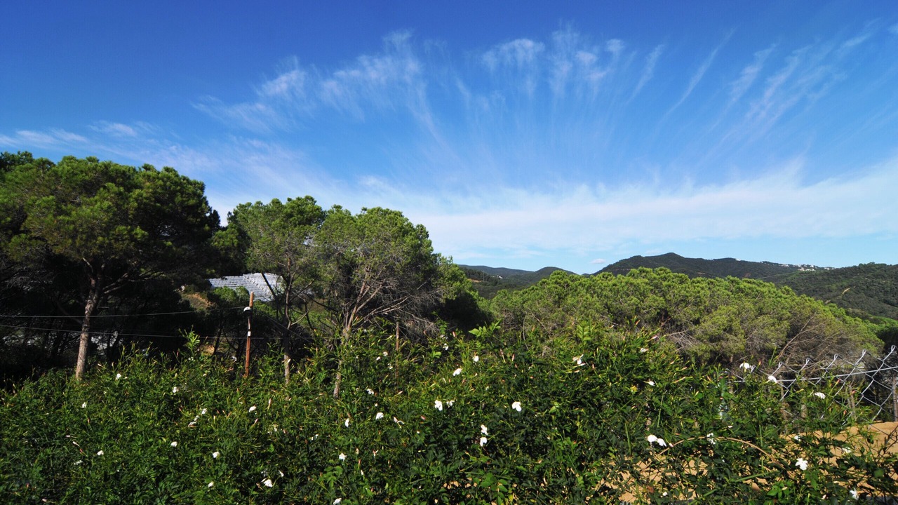 Photo of Others in Sant Cebria de Vallalta