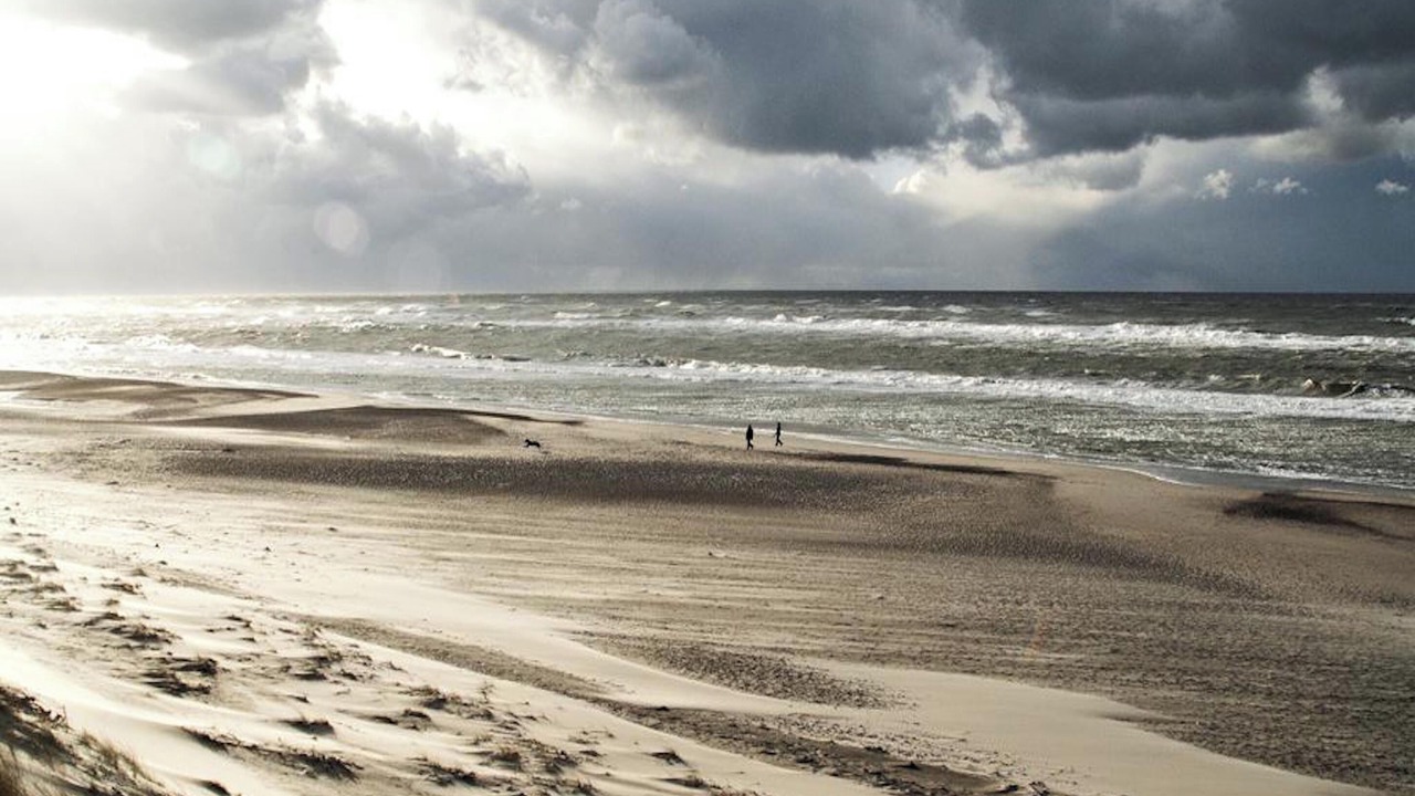 Photo of Others in Lodbjerg Hede