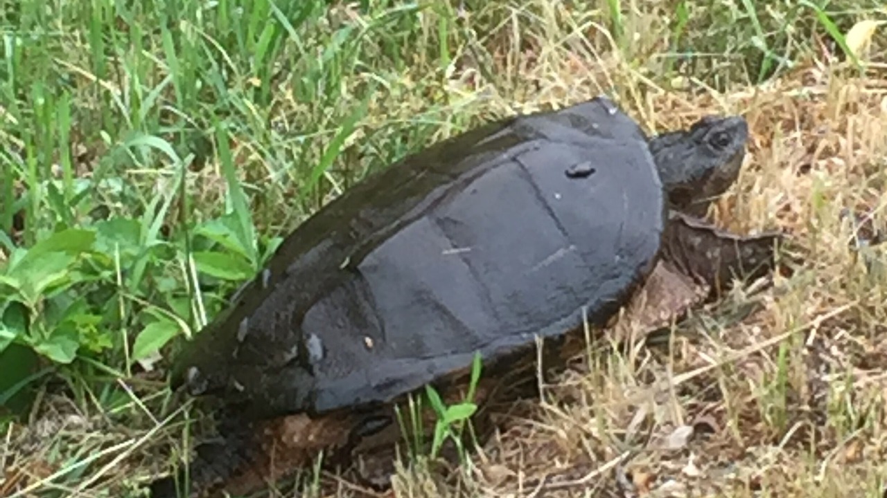 Photo of Others in Seacoast Region