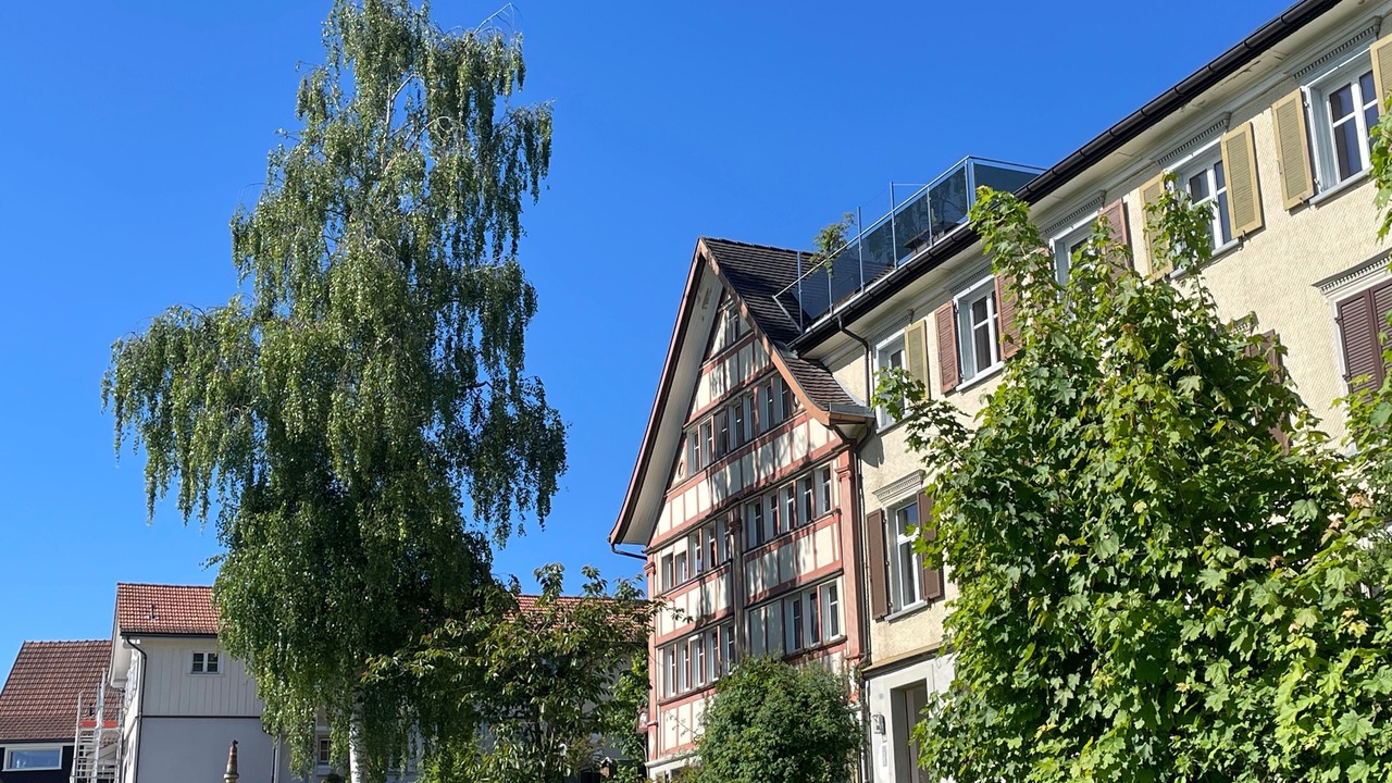 Photo of Outdoor in Heiden
