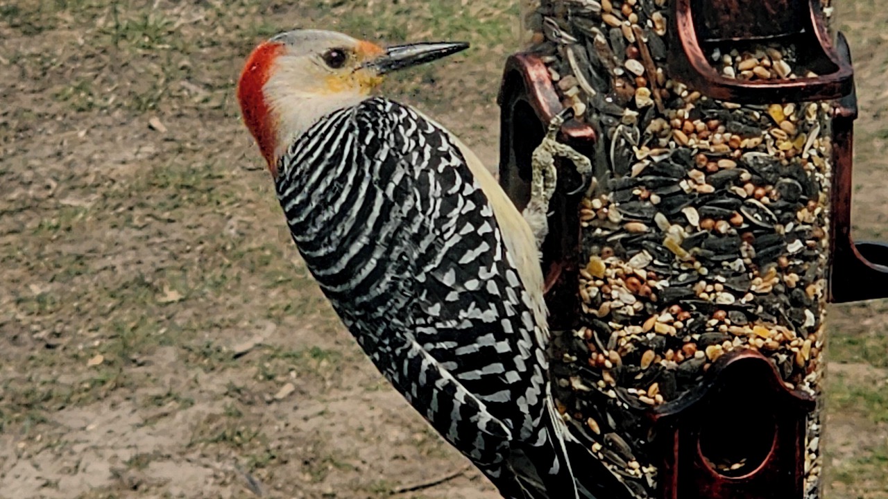 Photo of Others in Zephyr