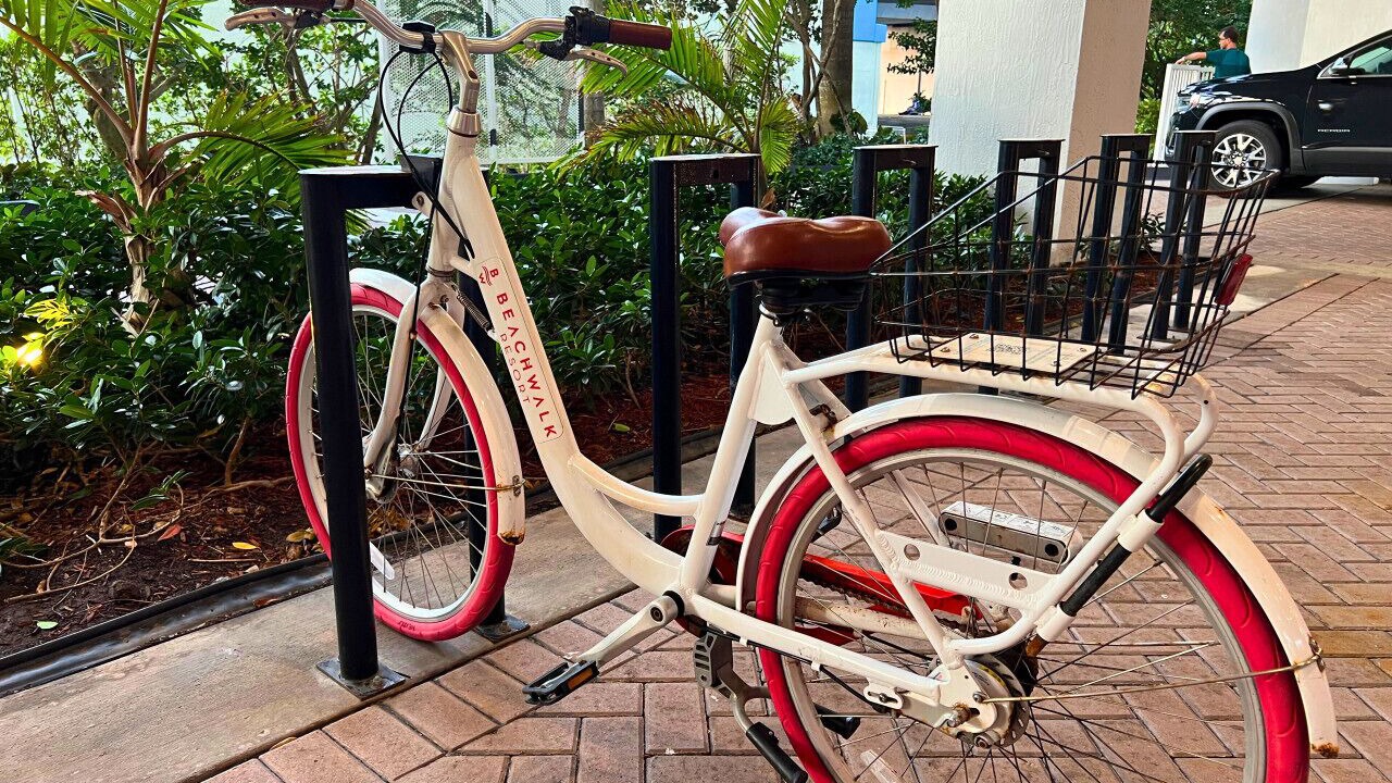 Photo of Others in Hallandale Beach