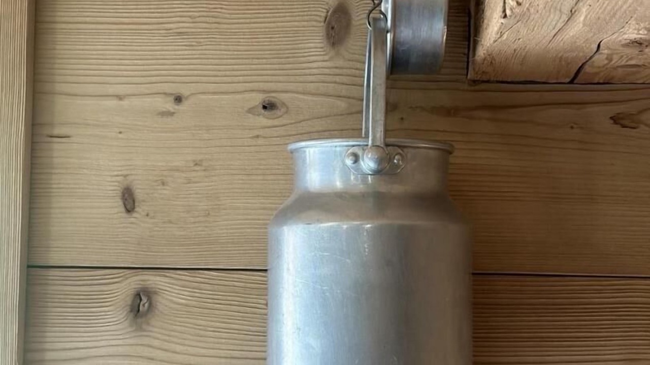 Photo of Others in Chezery Forens