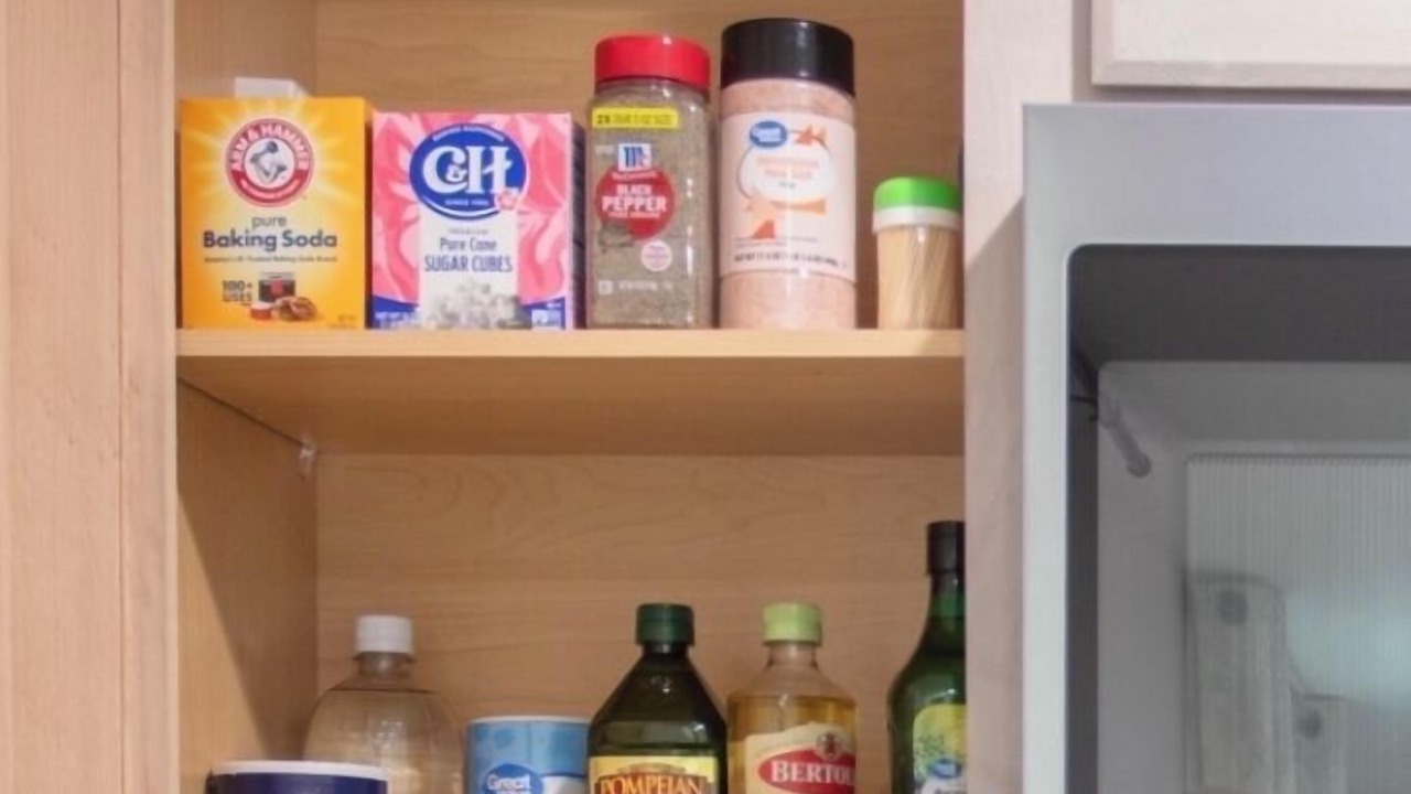 Photo of Others in Springfield