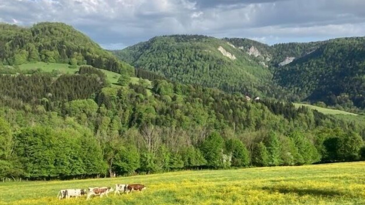 Photo of Others in Vaucluse