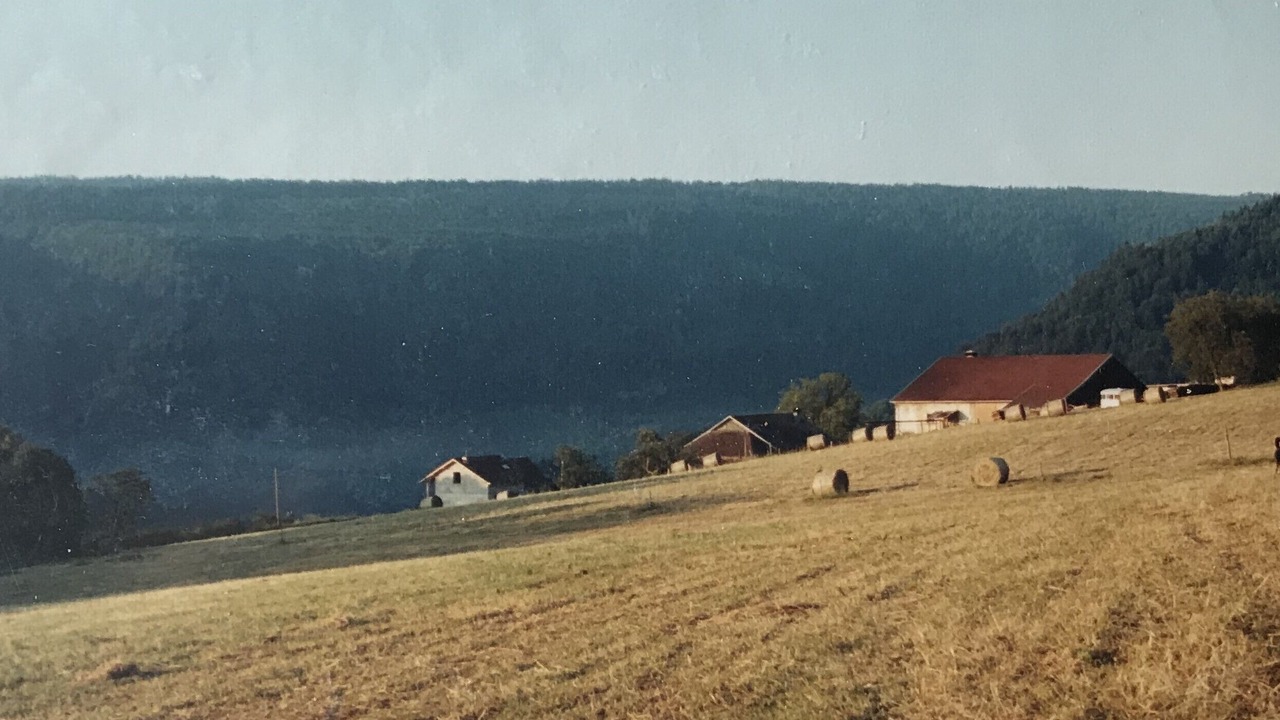 Photo of Others in Vaucluse