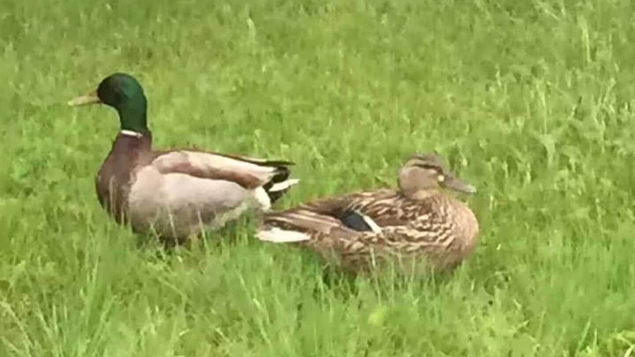 Photo of Others in Sea Bright