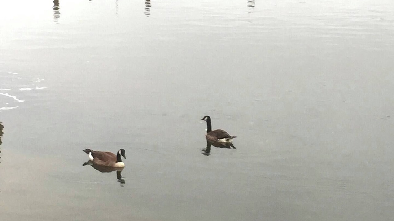 Photo of Others in Sea Bright