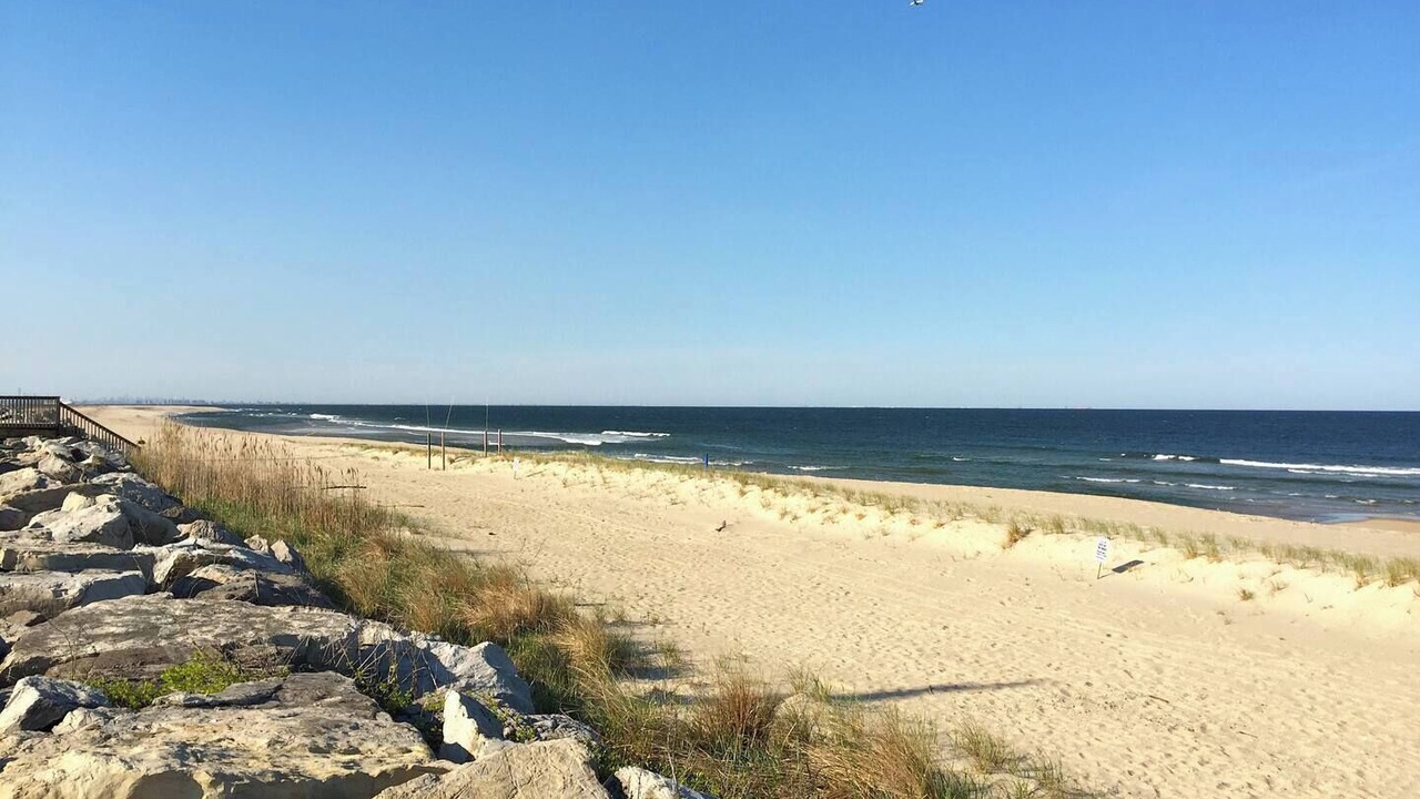 Photo of Others in Sea Bright