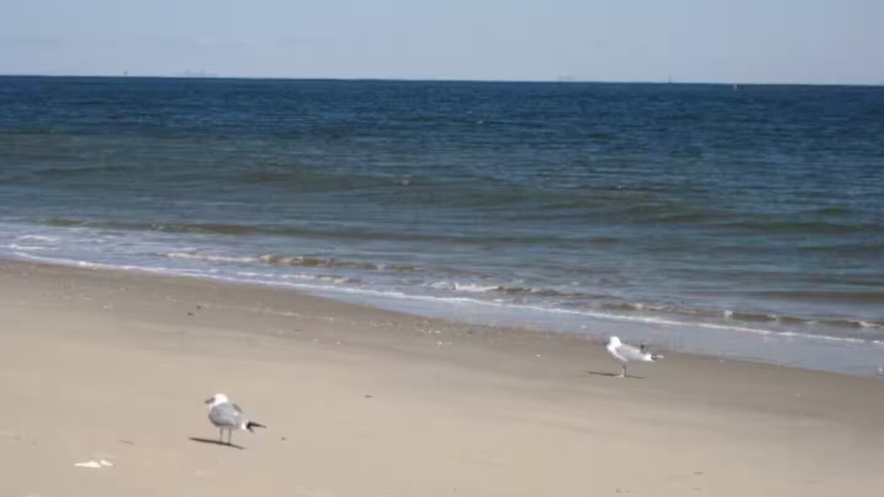 Photo of Others in Sea Bright