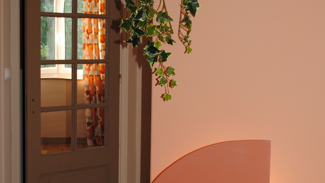 Photo of Others in Castres