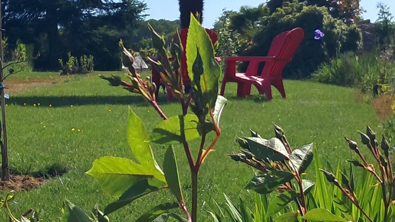 Photo of Outdoor in Megrit