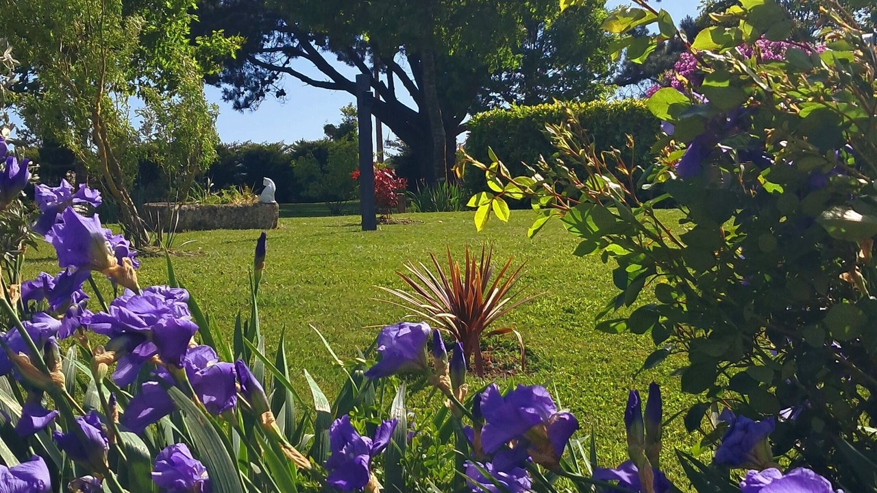 Photo of Outdoor in Megrit