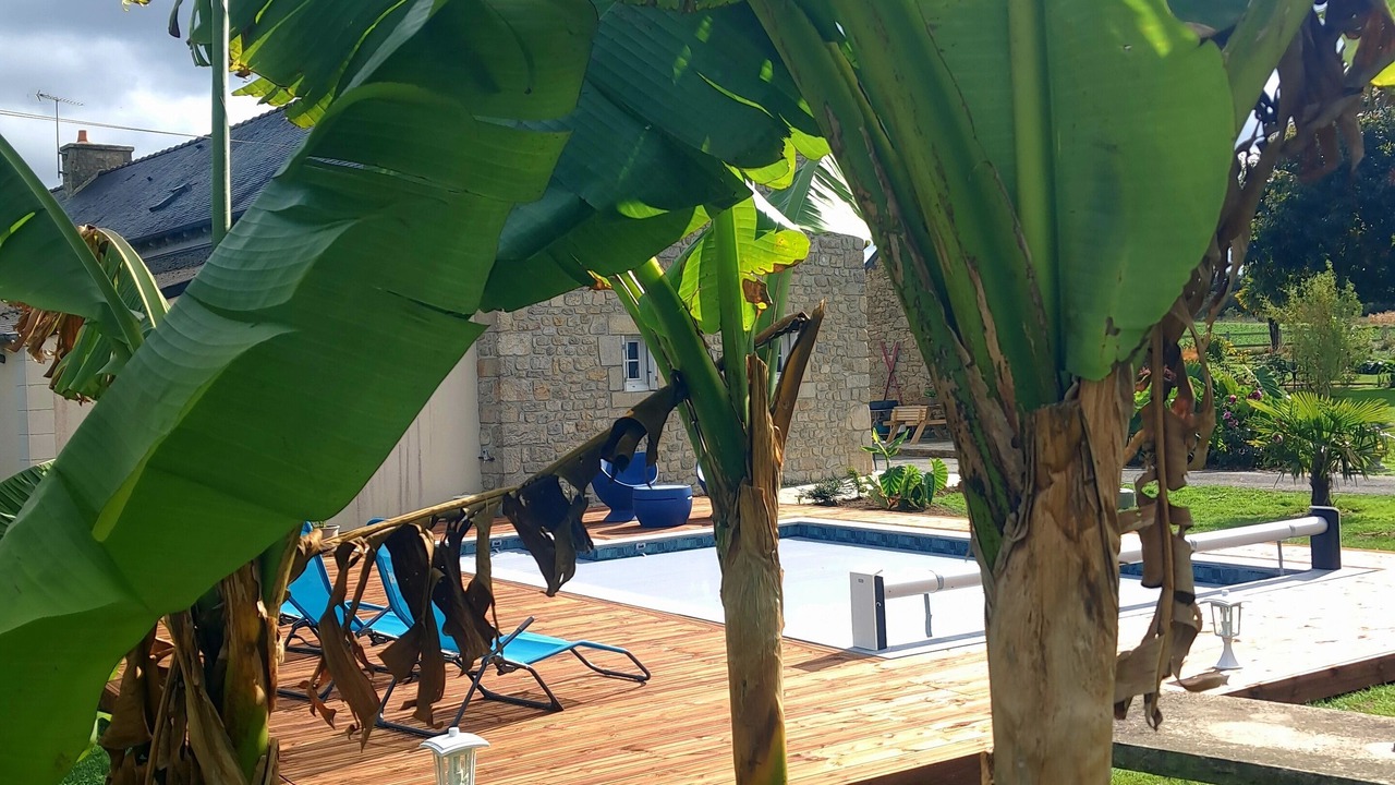 Photo of Patio Balcony in Megrit