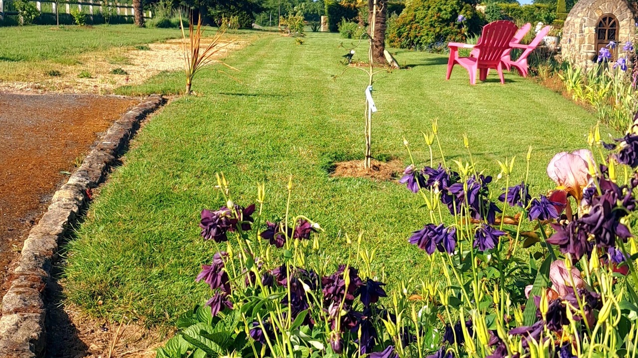 Photo of Outdoor in Megrit