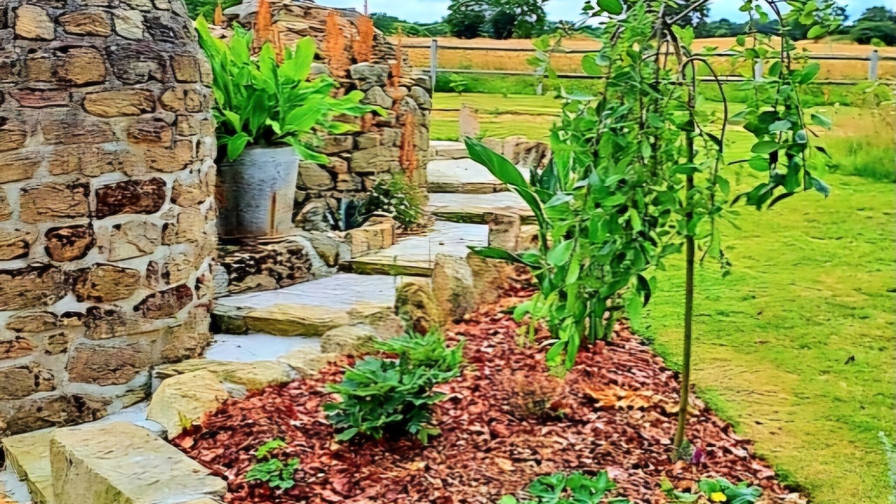 Photo of Outdoor in Megrit