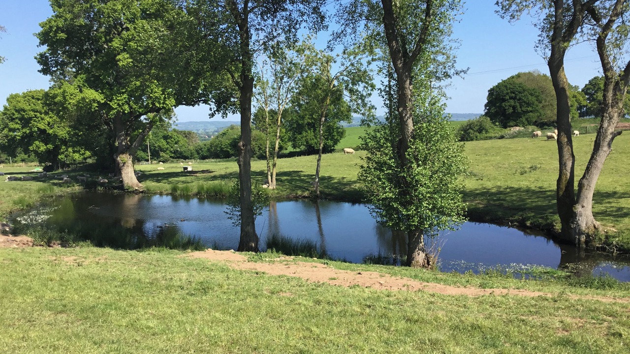 Photo of Others in Llanvair Kilgeddin