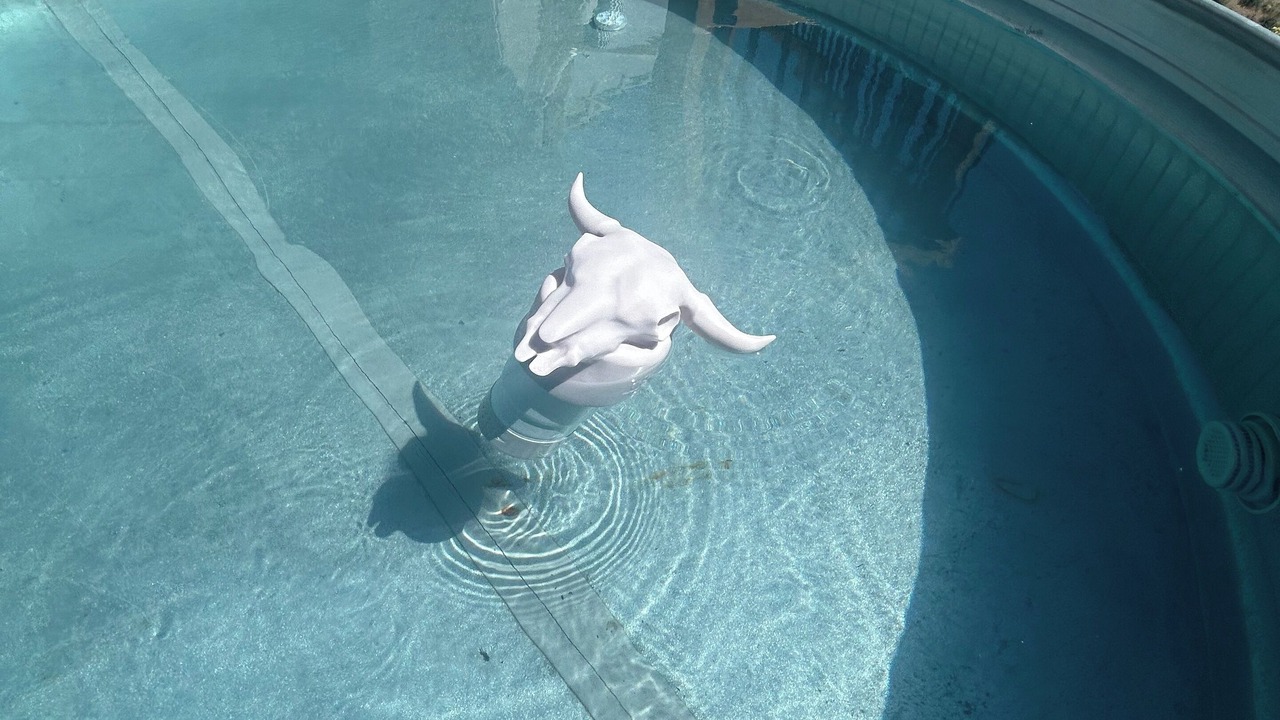 Photo of Outdoor in Naches