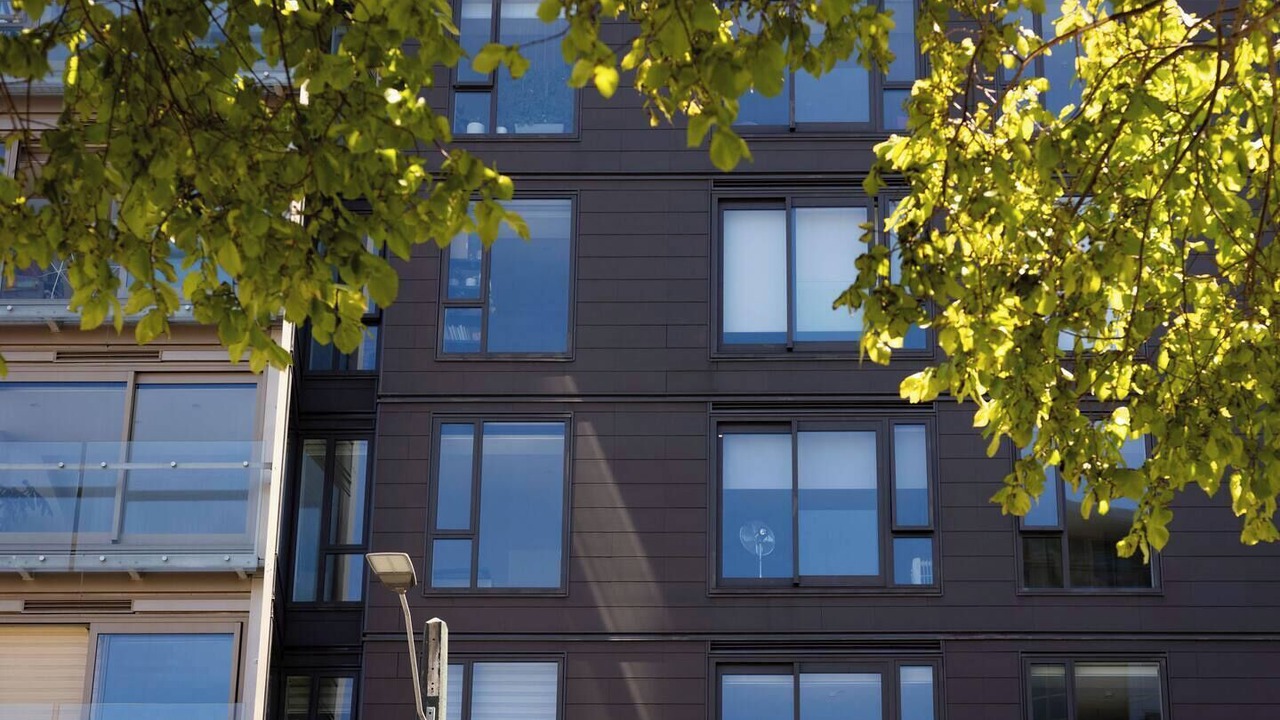 Photo of Others in Te Aro