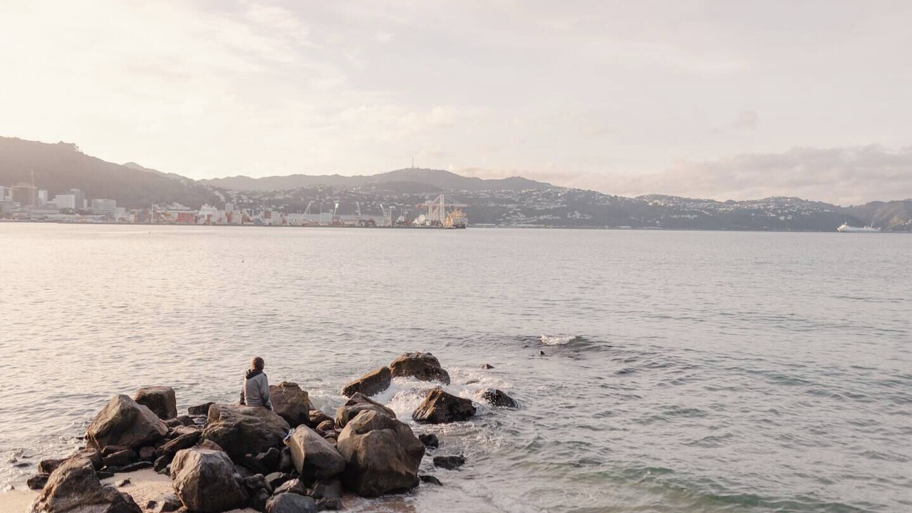 Photo of Others in Wellington