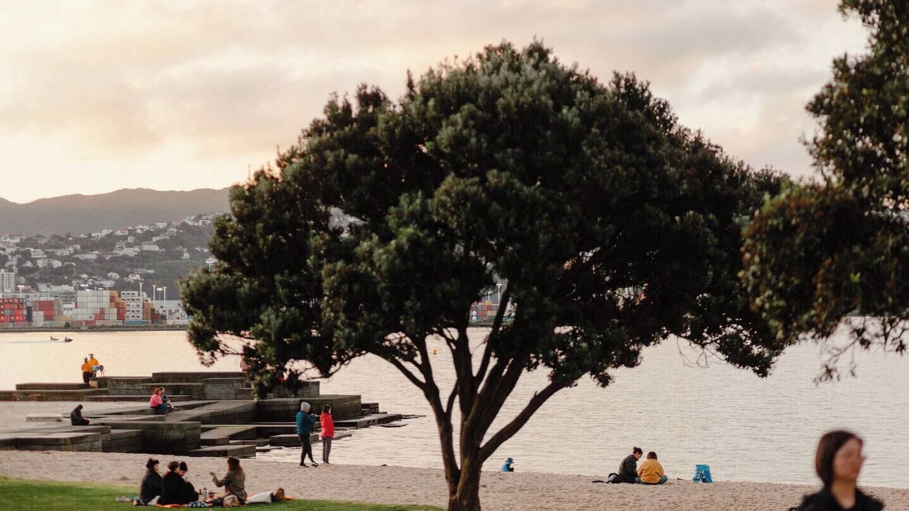 Photo of Others in Wellington