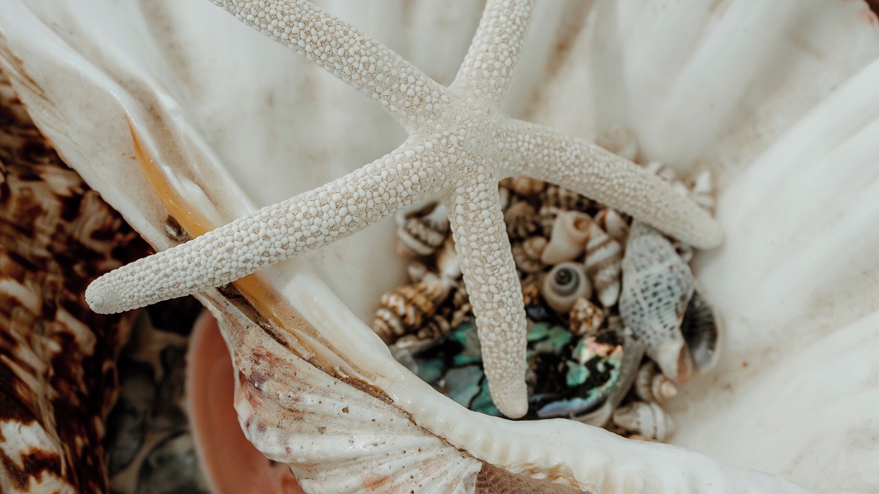 Photo of Others in Kingscote