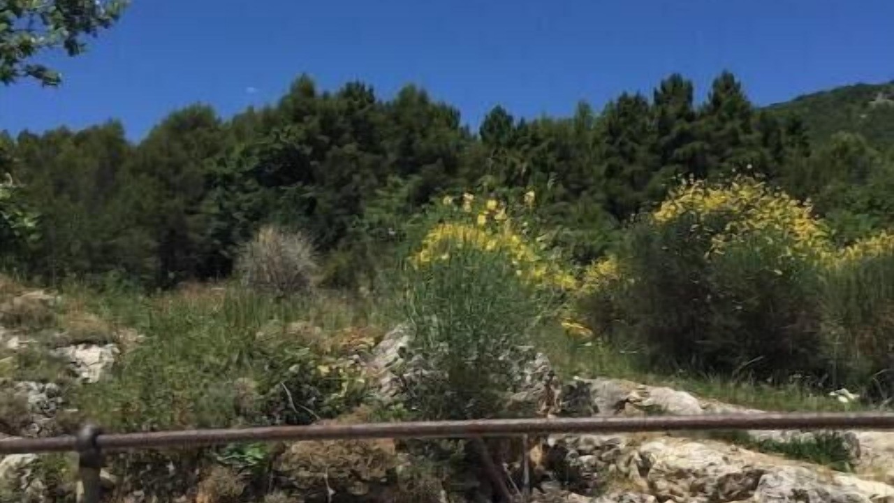 Photo of Others in Bargemon