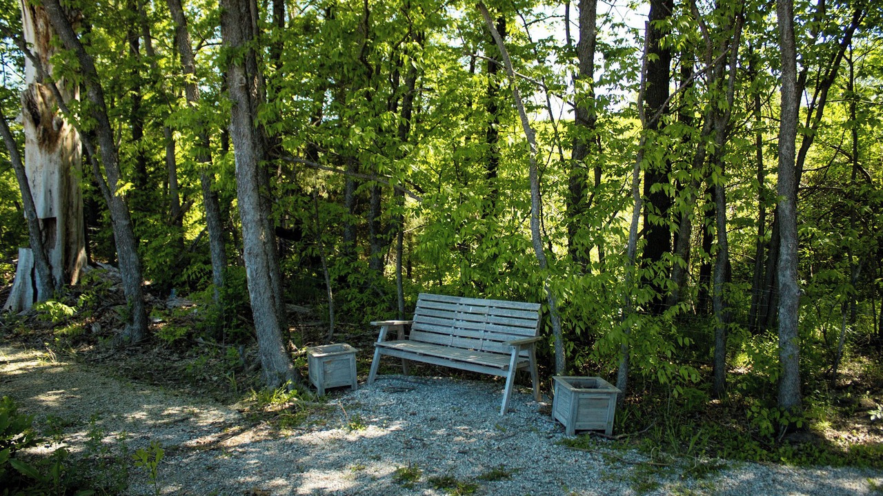 Photo of Others in Cass County