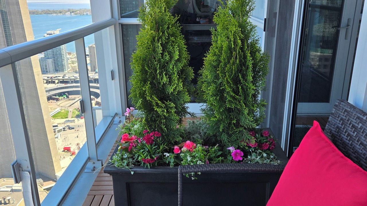 Photo of Outdoor in CityPlace