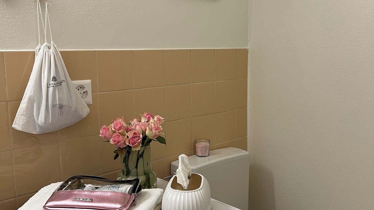 Photo of Bathroom in Downtown Geneva