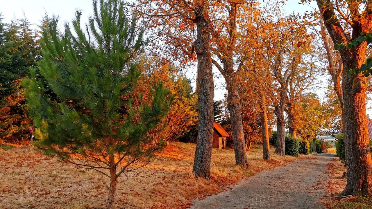 Photo of Outdoor in Bonrepos-Riquet