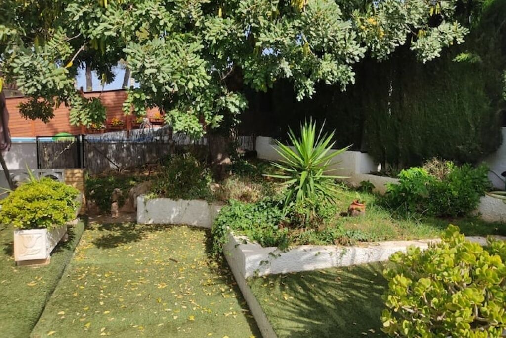 Photo of Outdoor in Turis