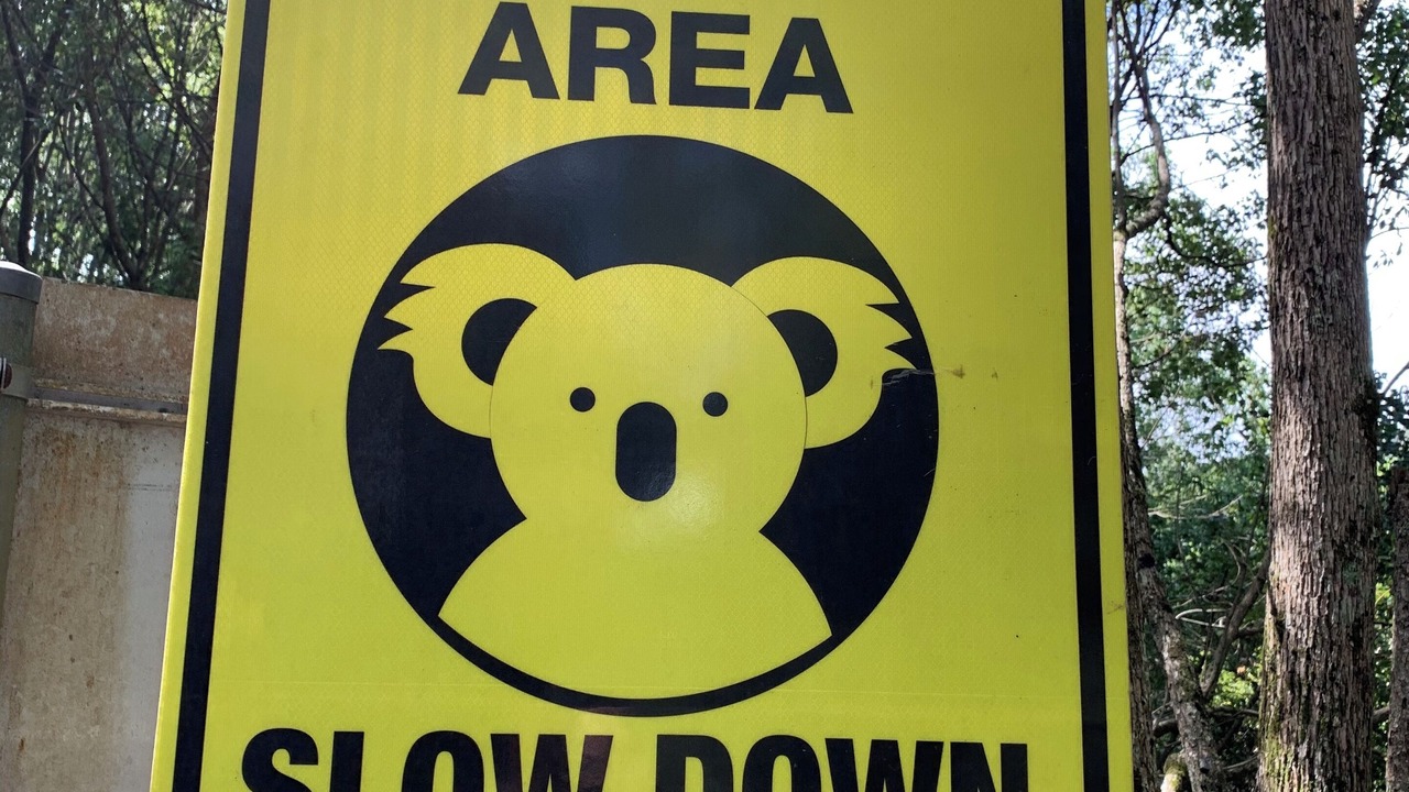 Photo of Others in Upper Coopers Creek