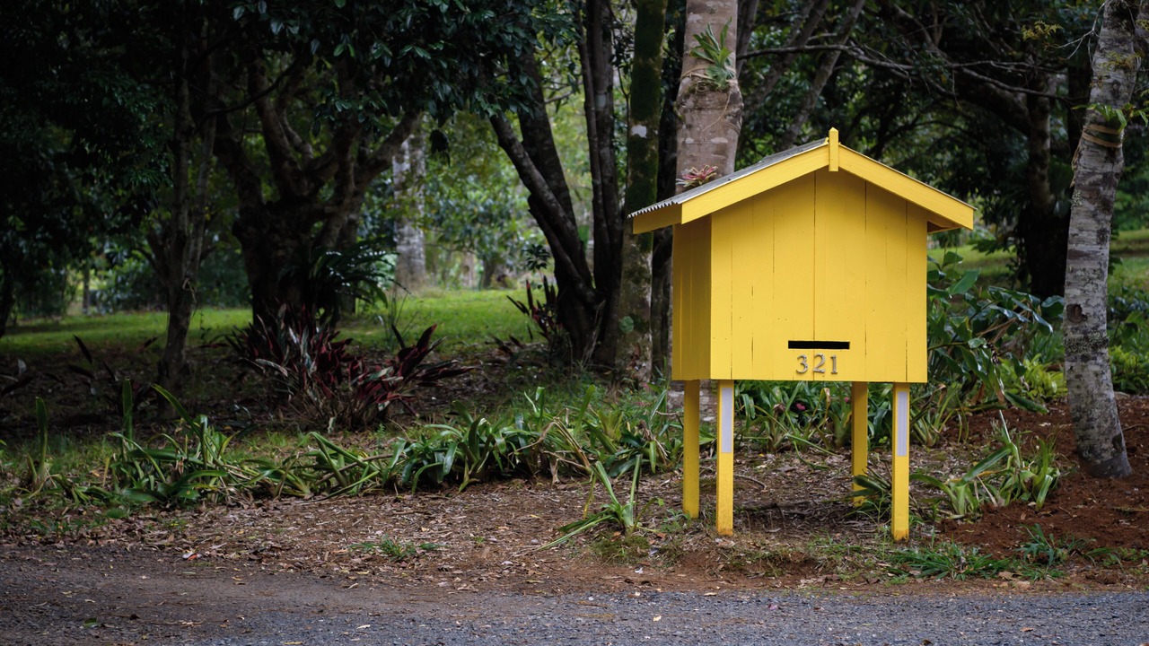 Photo of Others in Upper Coopers Creek