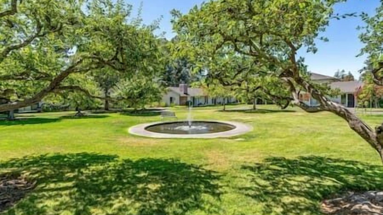 Photo of Outdoor in Napa