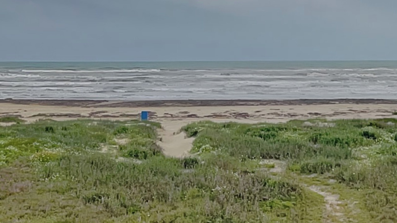 Photo of Others in Terramar Beach