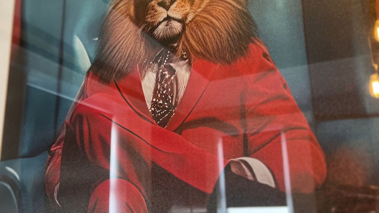 Photo of Others in Huddersfield