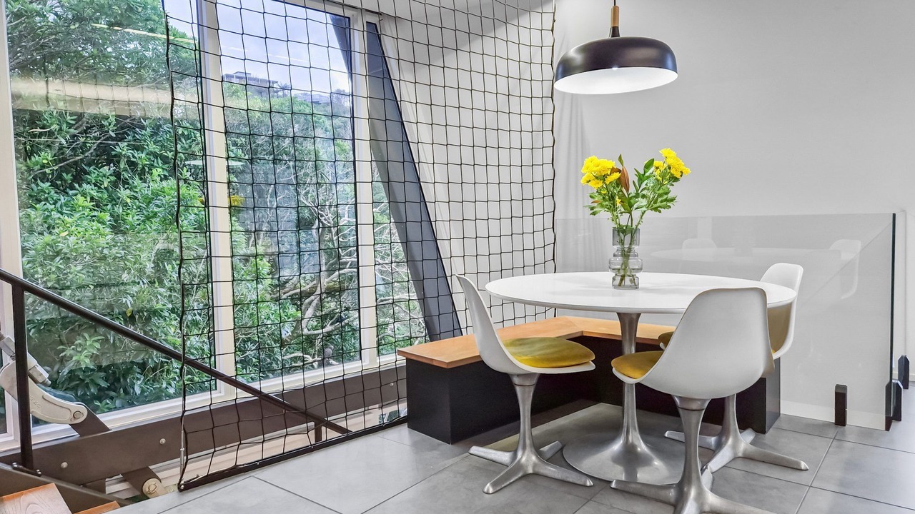 Photo of Others in Northland