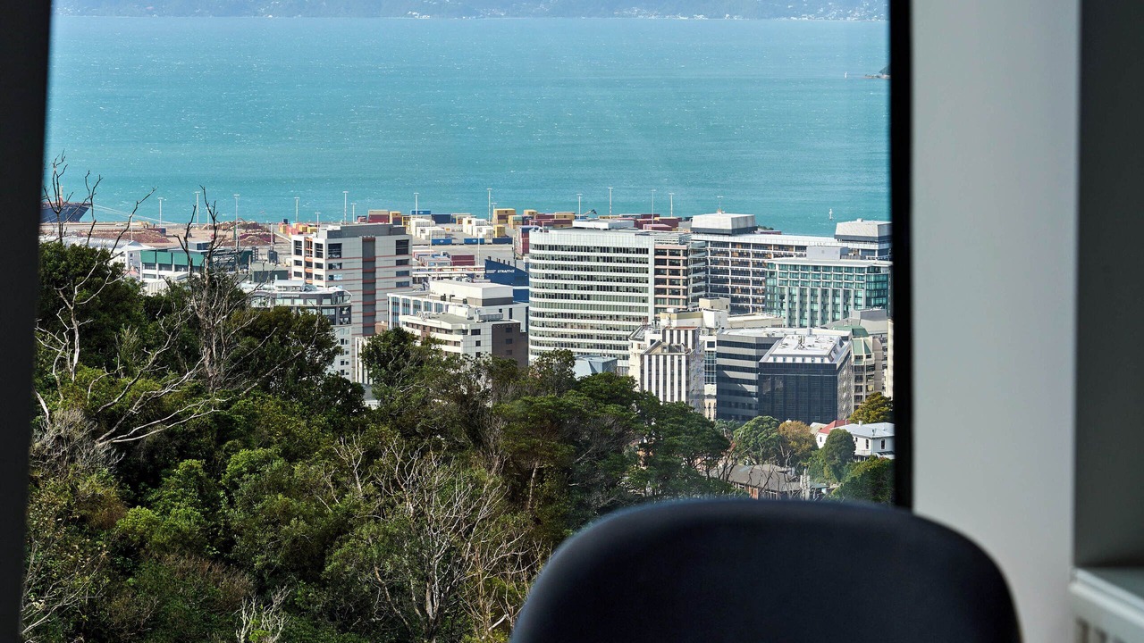 Photo of Others in Northland