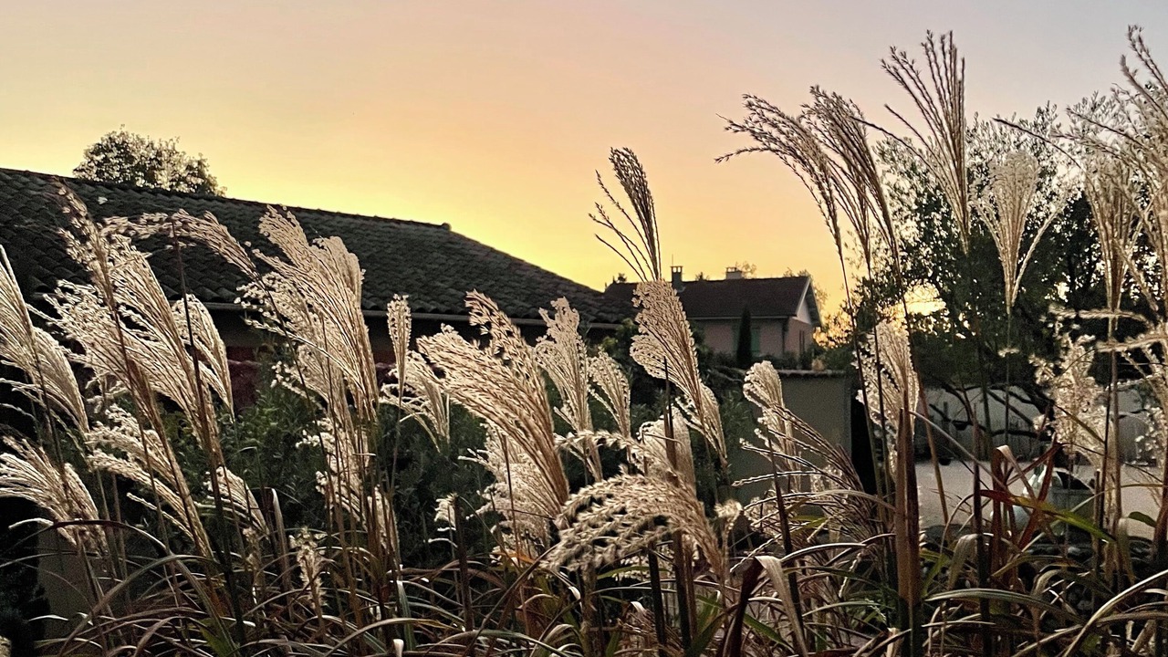 Photo of Outdoor in Saint-Paul-les-Romans