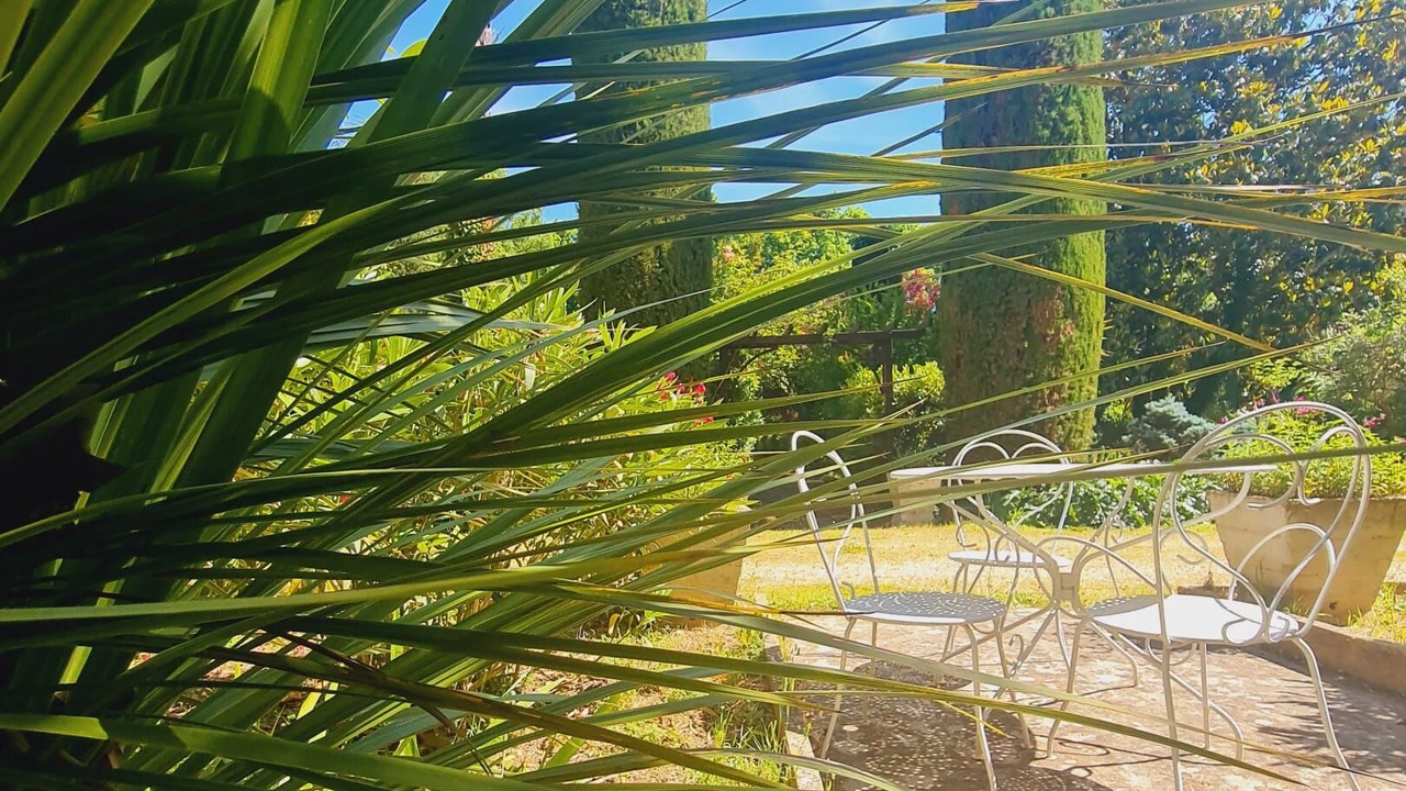 Photo of Outdoor in Uzes