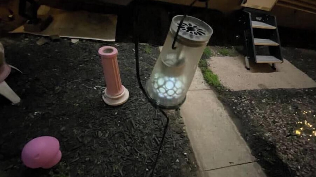 Photo of Others in Delair