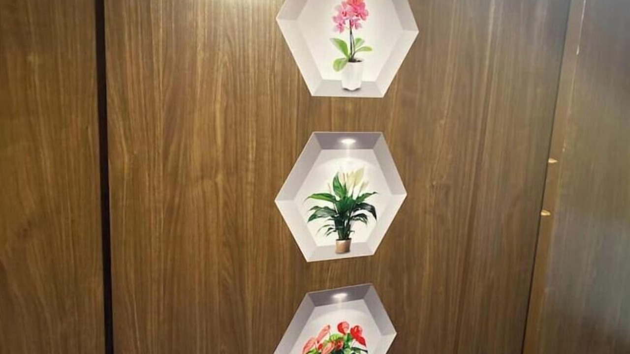 Photo of Others in Delair