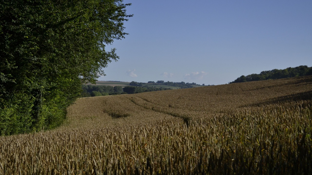 Photo of Others in Merck-Saint-Lievin