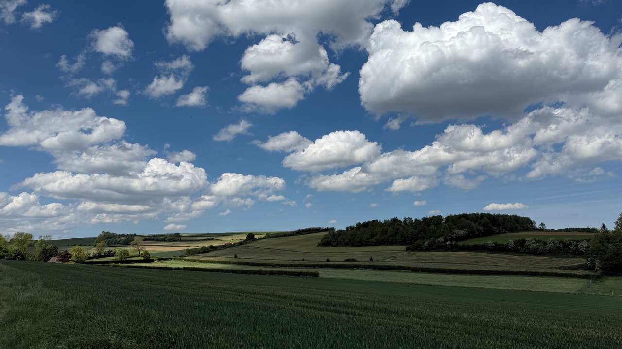 Photo of Others in Merck-Saint-Lievin