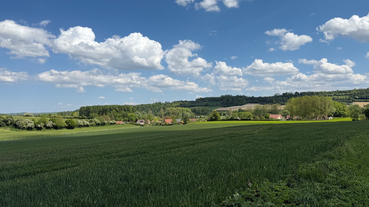 Photo of Others in Merck-Saint-Lievin