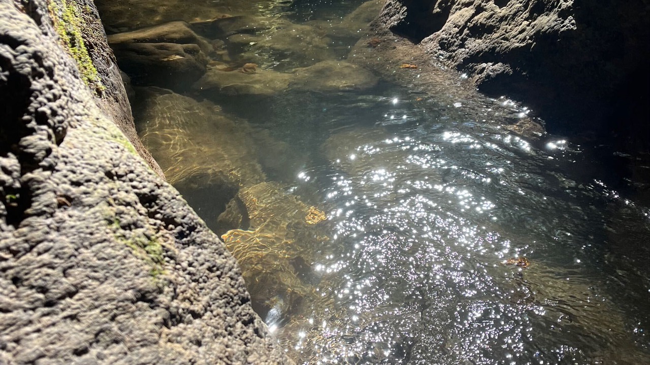 Photo of Others in Doucier