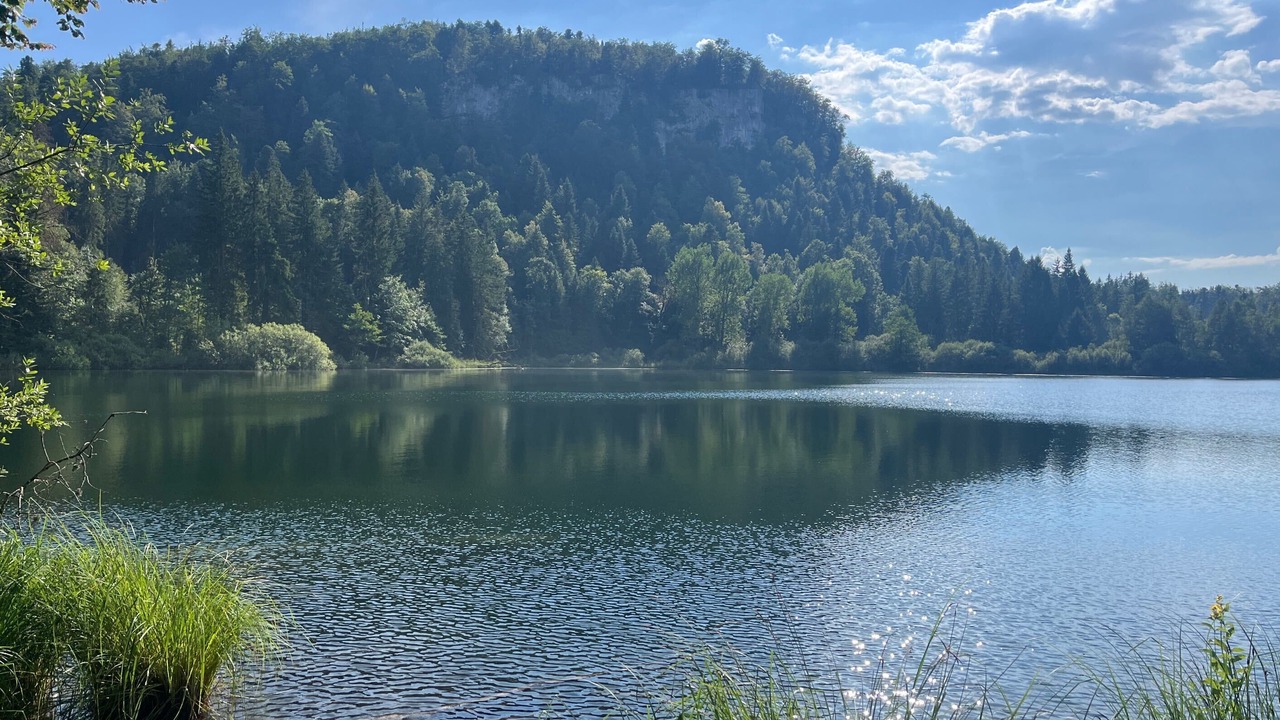 Photo of Others in Doucier