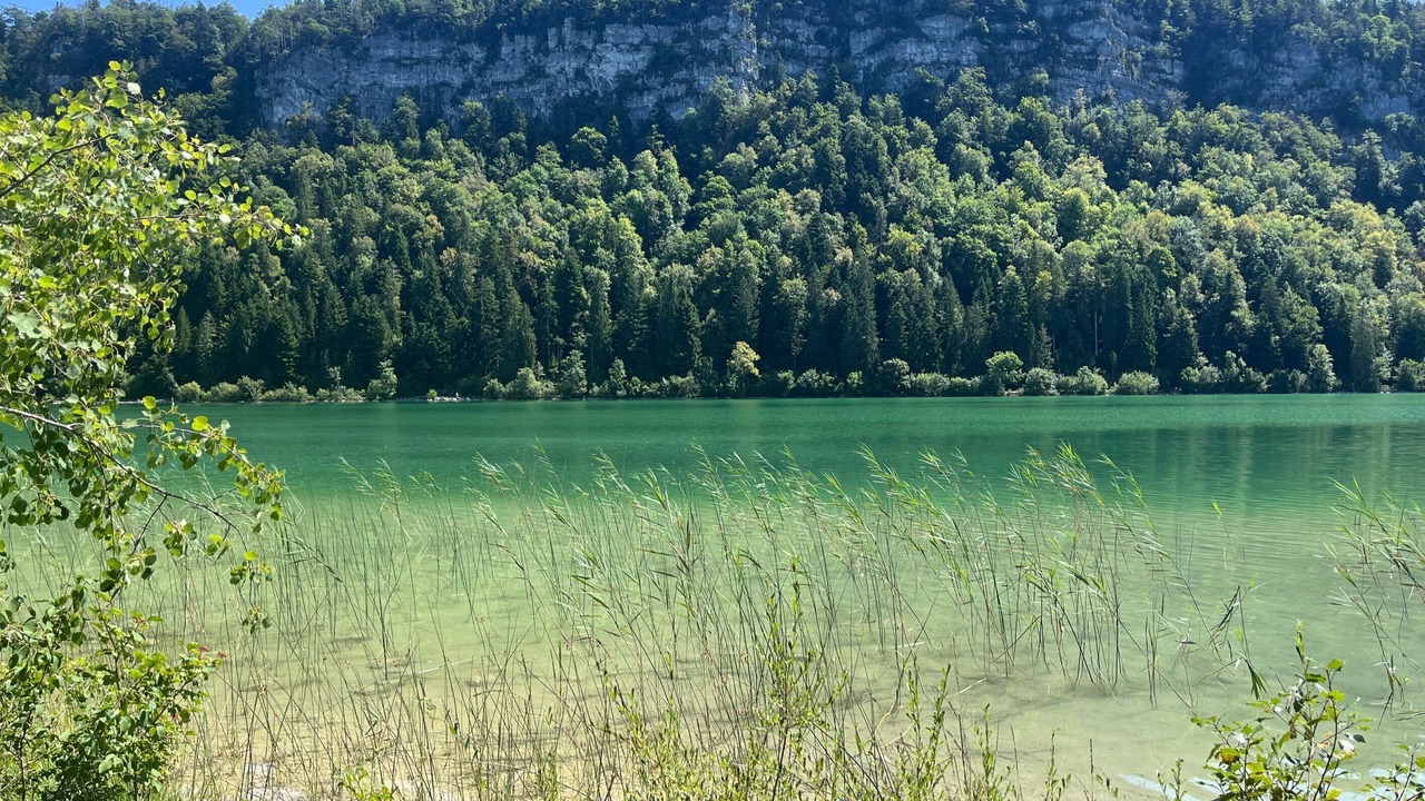 Photo of Others in Doucier