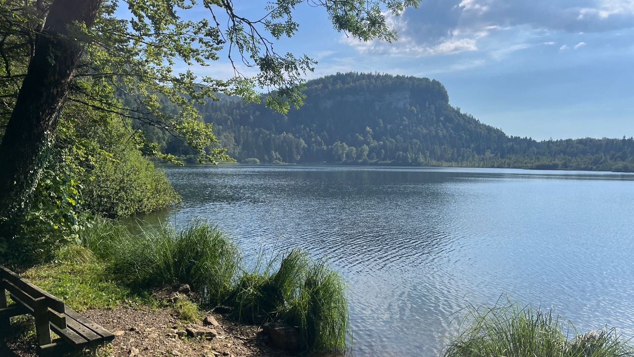 Photo of Others in Doucier